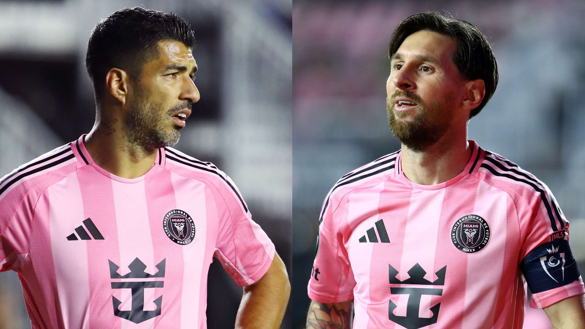 承载着无尽 承载着无尽